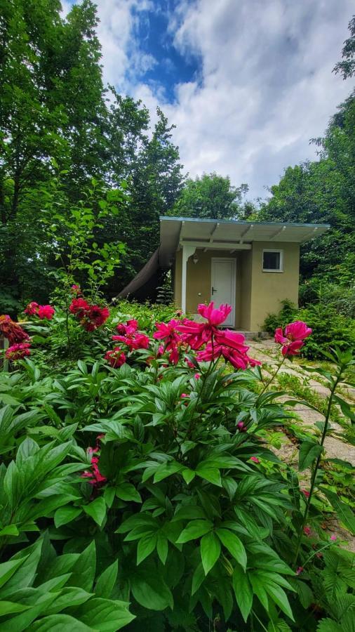 The Bungalow Braşov Exterior foto