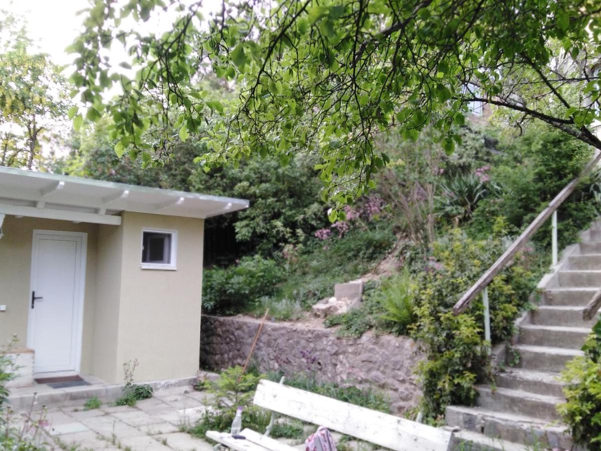 The Bungalow Braşov Exterior foto
